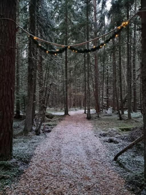 Hotel Treetop Ekne - Hytte I Skogen Med Hengebru Levanger Exterior foto