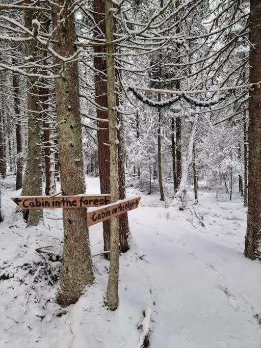 Hotel Treetop Ekne - Hytte I Skogen Med Hengebru Levanger Exterior foto