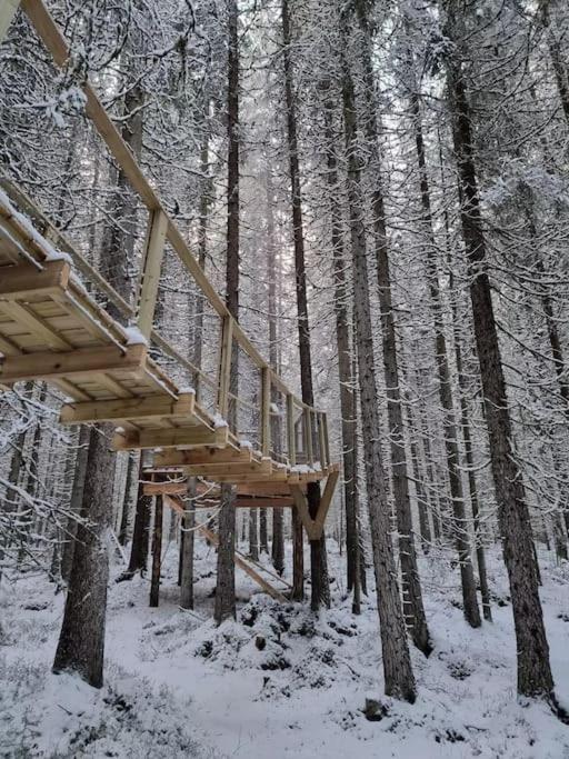 Hotel Treetop Ekne - Hytte I Skogen Med Hengebru Levanger Exterior foto