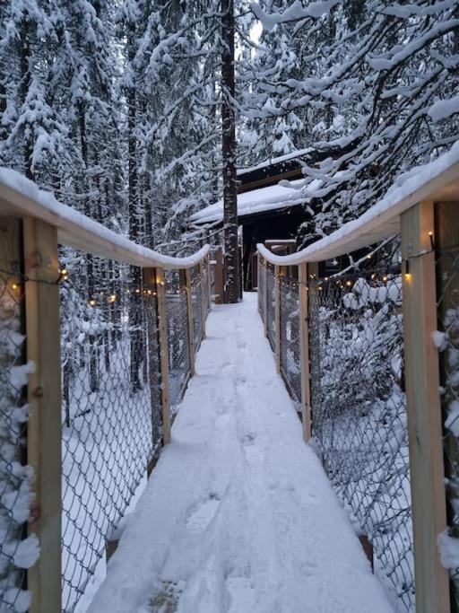 Hotel Treetop Ekne - Hytte I Skogen Med Hengebru Levanger Exterior foto