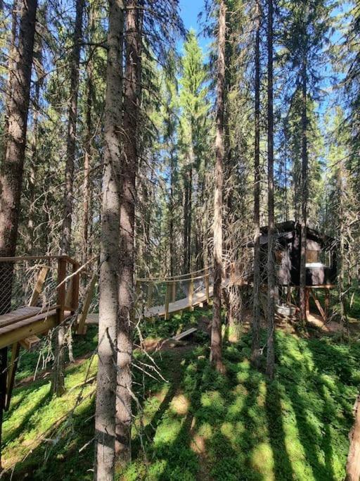 Hotel Treetop Ekne - Hytte I Skogen Med Hengebru Levanger Exterior foto