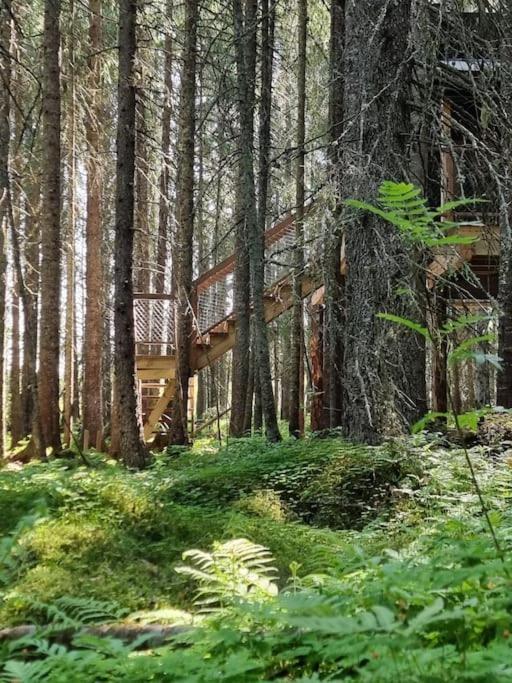 Hotel Treetop Ekne - Hytte I Skogen Med Hengebru Levanger Exterior foto